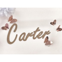 "CARTER" Style Wall Name $15