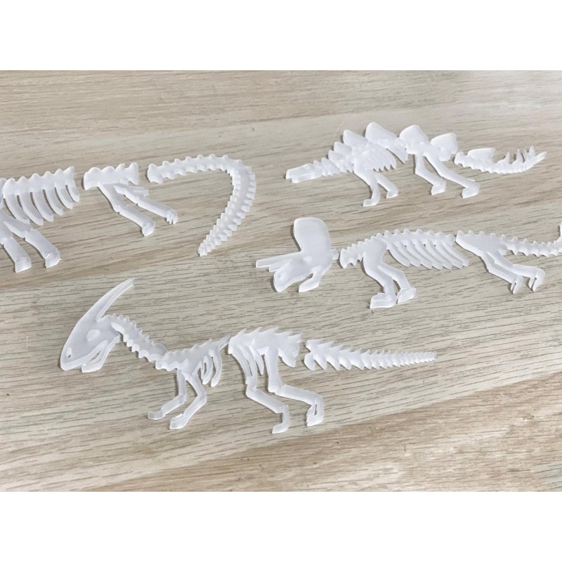 Dino Bones - Acrylic 5 Set frosted white or mixed coloured !
