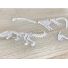 Dino Bones - Acrylic 5 Set frosted white or mixed coloured !