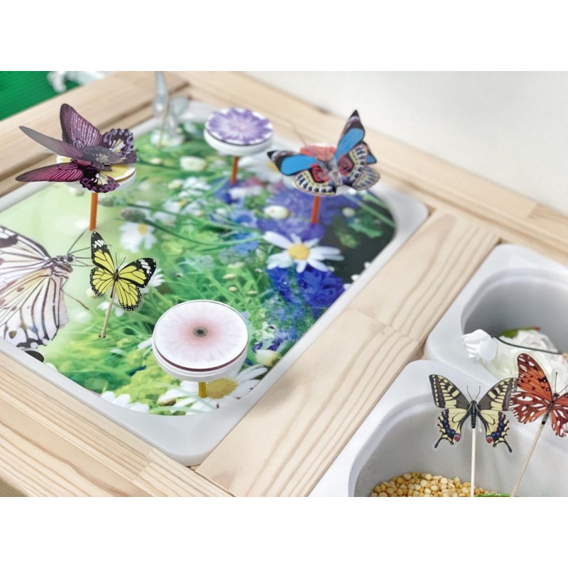 "Spring" Butterfly Board