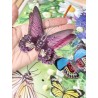 "Spring" Butterfly Board