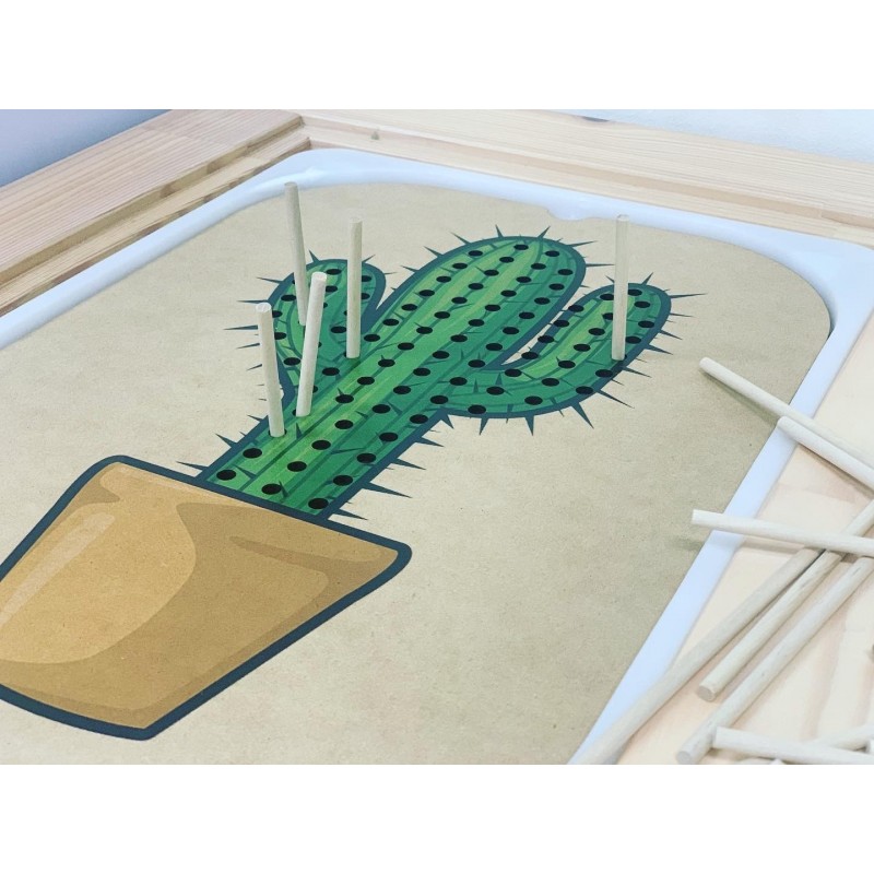 Cactus Insert