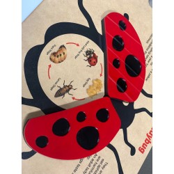 Ladybug Facts Insert - Fits All Tables