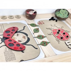 Ladybug Facts Insert - Fits All Tables