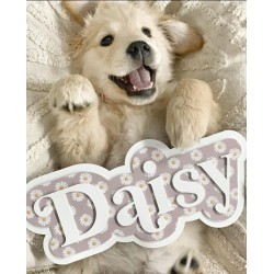 Daisy Style wall name