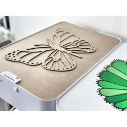 "Butterfly" Rice Sensory Insert - fits all tables