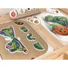 butterfly life cycle pieces / puzzle / insert loose pieces - "hungry caterpillar theme"