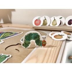 butterfly life cycle pieces / puzzle / insert loose pieces - "hungry caterpillar theme"