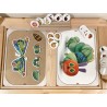 butterfly life cycle pieces / puzzle / insert loose pieces - "hungry caterpillar theme"