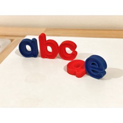 PUZZLE - Lower case SENSORY letters - eco letters