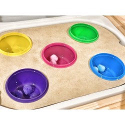 round - colour sorting container  insert